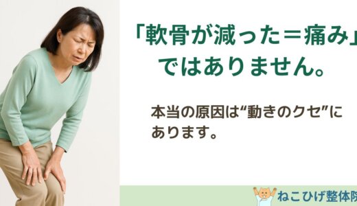 膝の軟骨が減った＝痛みの原因？その誤解を解説します