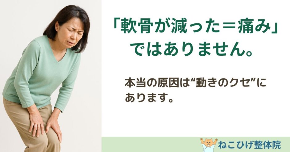 膝の軟骨が減って痛みがあると悩む中高年女性のイラスト（ねこひげ整体院）