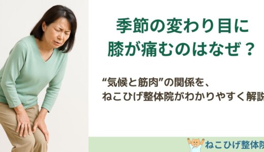 季節の変わり目に膝が痛む理由ー“気候と筋肉”の関係