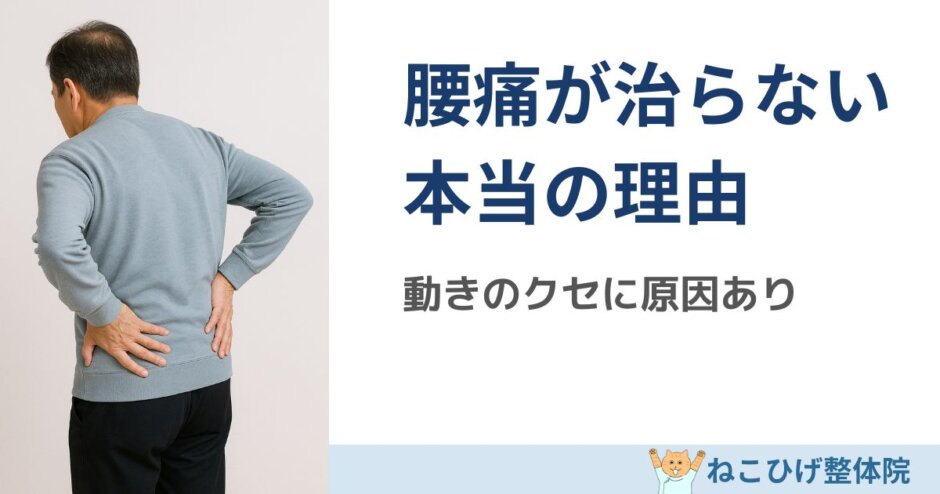 島原 整体 腰痛 改善 根本原因