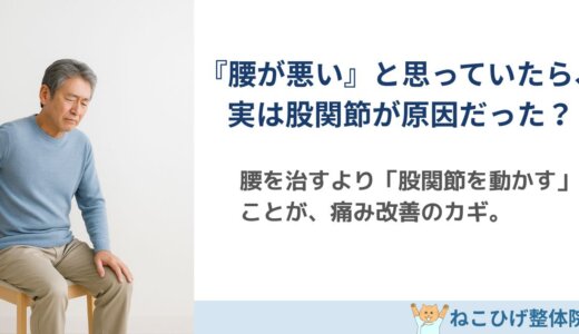 『腰が悪い』と思っていたら、実は股関節が原因だった？