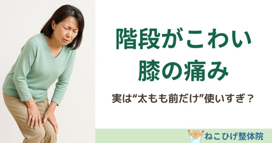 階段がこわい膝の痛みの原因を解説する島原のねこひげ整体院ブログ用画像