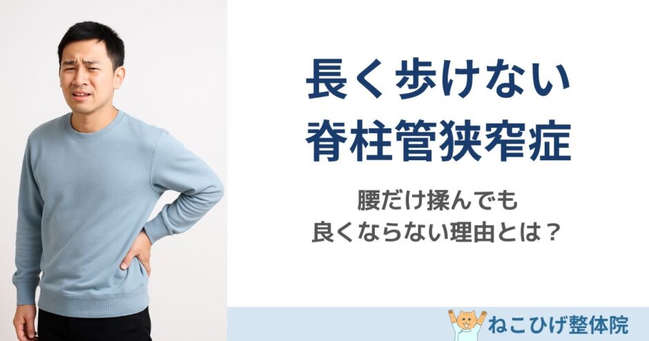 長く歩けない脊柱管狭窄症の原因を解説する島原のねこひげ整体院ブログ用画像