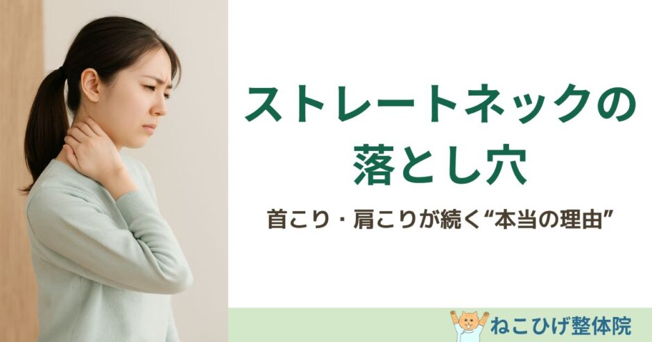 ストレートネックで首こり肩こりが気になる方へ解説する島原のねこひげ整体院ブログ用画像