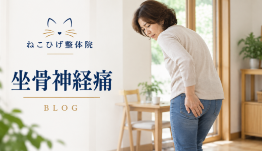 坐骨神経痛で車の運転がつらいのはなぜ？｜長時間座るとお尻・脚が痛む方へ