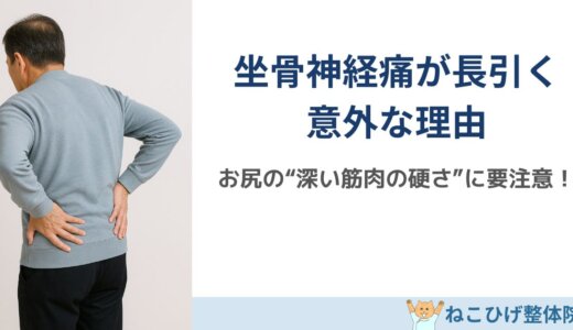 坐骨神経痛が長引く人に共通する“お尻の筋肉の硬さ”とは？
