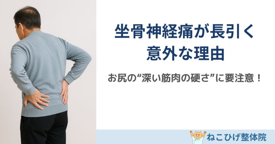 坐骨神経痛が長引く人に共通するお尻の筋肉の硬さを解説する島原のねこひげ整体院ブログ用画像