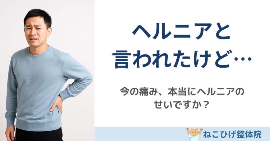 ヘルニアと言われたけど今の痛みは本当に原因なのかを解説する島原の整体・ねこひげ整体院ブログ用画像