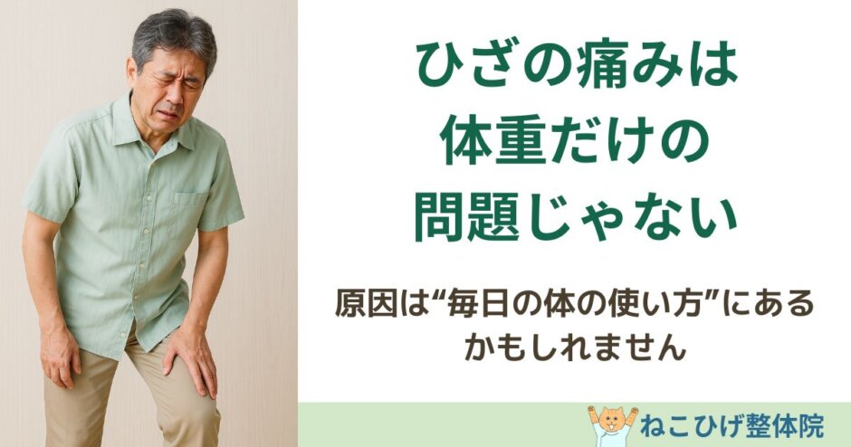 ひざの痛みは体重だけが原因ではないことを解説する島原のねこひげ整体院ブログ用画像