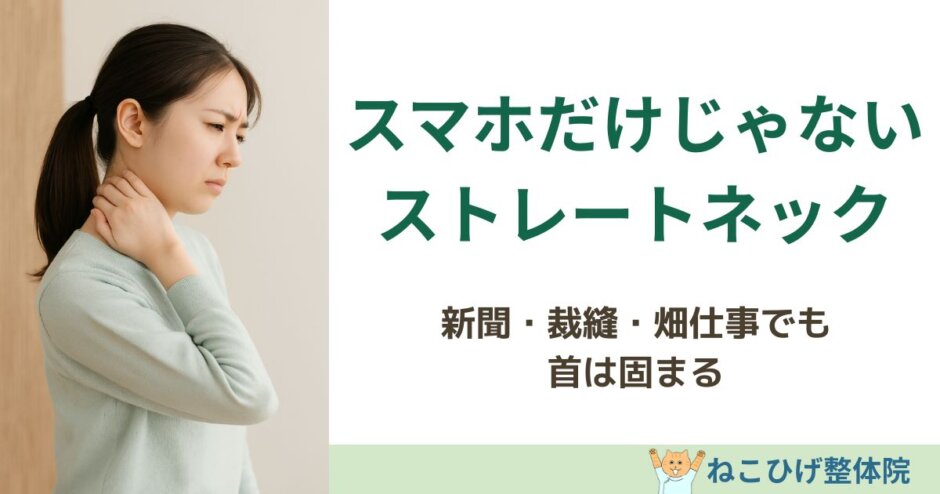 スマホ以外でもストレートネックになる原因を解説する島原のねこひげ整体院ブログ用画像