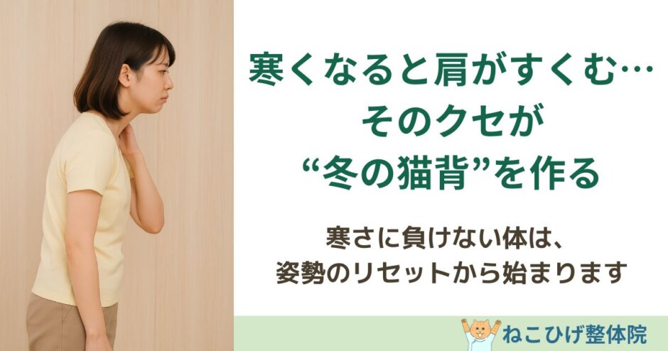 寒さで肩をすくむクセが冬の猫背につながる理由を解説する島原のねこひげ整体院ブログ用画像
