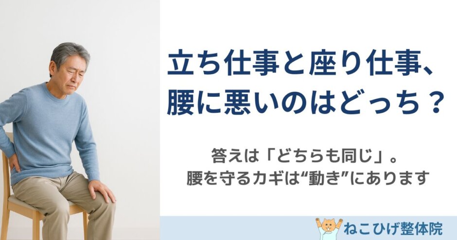 “立ちっぱなし”と“座りっぱなし”どっちが腰に悪い？を解説する島原のねこひげ整体院ブログ用画像