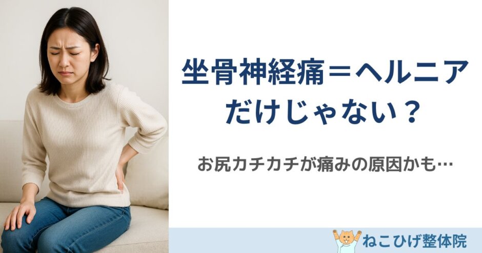 坐骨神経痛＝ヘルニアだけじゃない？“お尻カチカチ問題”を解説する島原のねこひげ整体院ブログ用画像