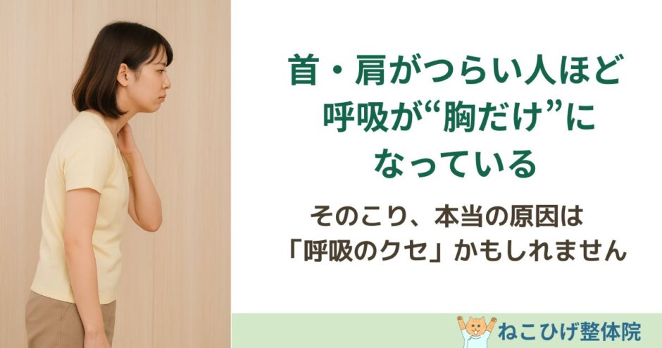 首・肩がつらい人ほど呼吸が胸だけになっている理由を解説する島原 整体 ねこひげ整体院のブログ用画像
