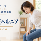ねこひげ整体院 椎間板ヘルニアブログ