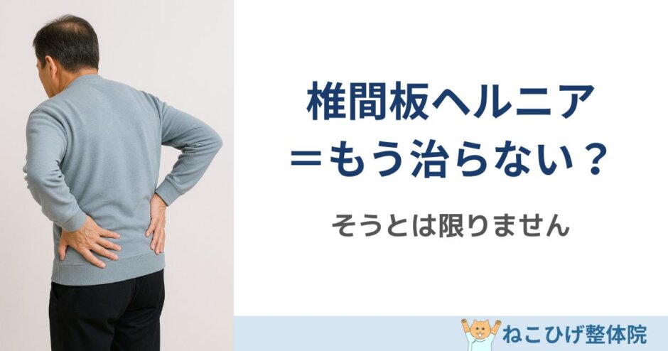 椎間板ヘルニア＝もう治らないではありません 島原 整体 ねこひげ整体院
