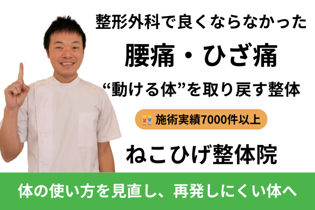 島原市のねこひげ整体院|腰痛・ひざ痛に対応する慢性痛専門整体