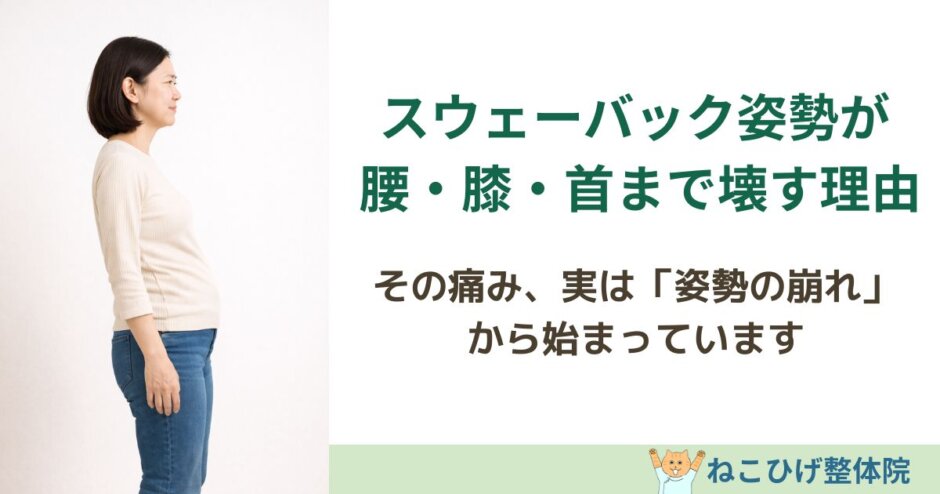 スウェーバック姿勢が腰・膝・首に与える影響を解説する島原整体ねこひげ整体院ブログ用画像
