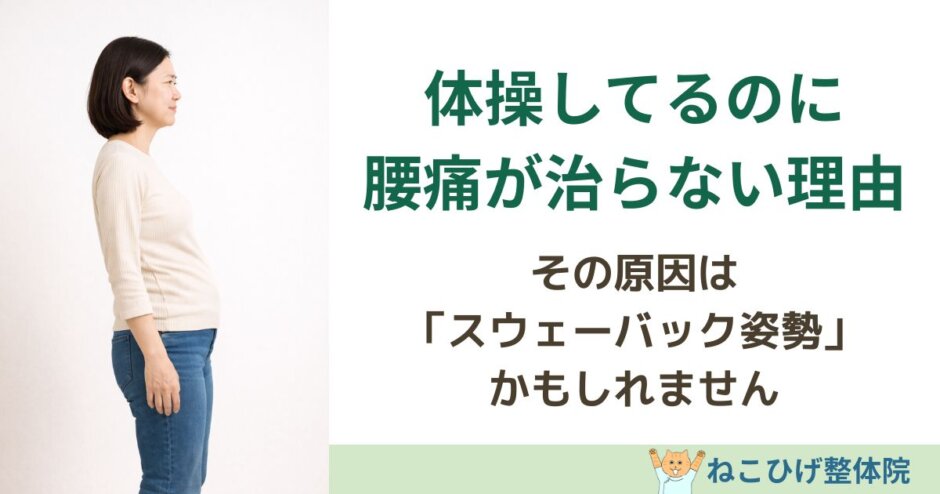 なぜスウェーバックは体操や筋トレで治らないのかを解説する島原 整体 ねこひげ整体院ブログ用画像