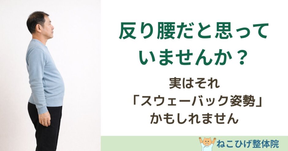反り腰と勘違いされやすいスウェーバック姿勢を解説する島原の整体「ねこひげ整体院」のブログ用画像