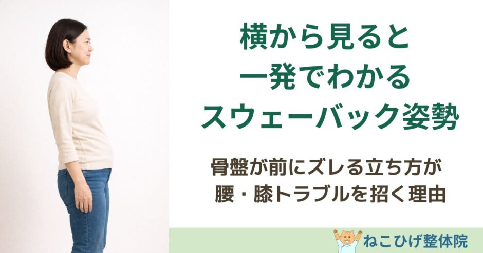 横から見ると一発でわかるスウェーバック姿勢の特徴を解説する島原 整体 ねこひげ整体院のブログ用画像