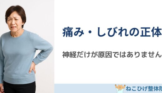 椎間板ヘルニアの痛み・しびれの正体とは？