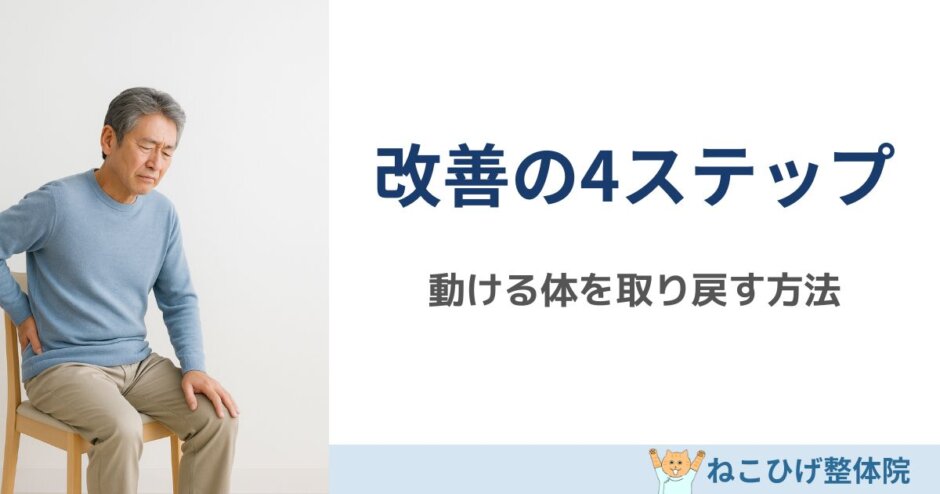 椎間板ヘルニア 改善方法 4ステップ 島原 整体 ねこひげ整体院