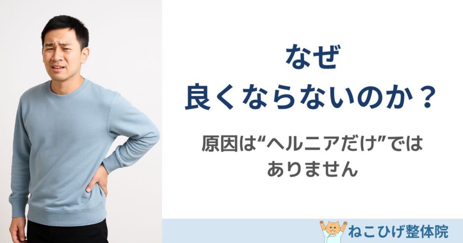 椎間板ヘルニア なぜ良くならないのか 島原 整体 ねこひげ整体院
