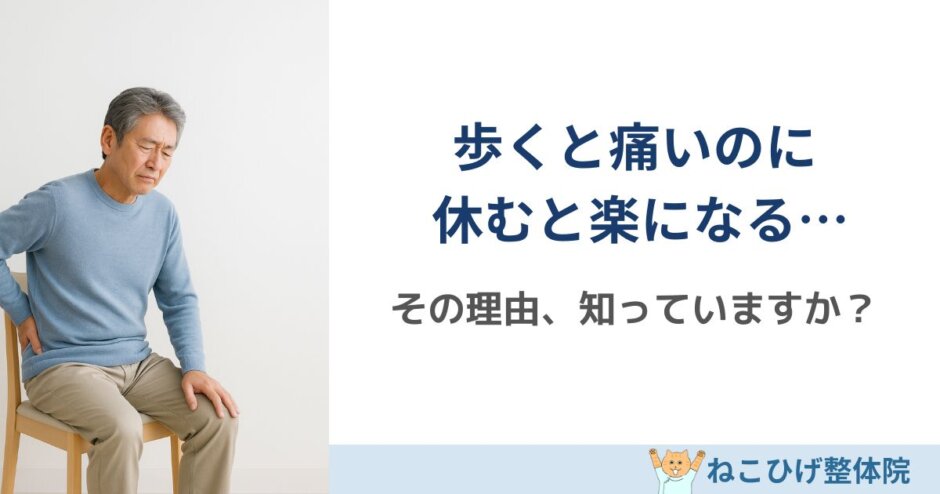 脊柱管狭窄症で歩くと痛い・休むと楽になる理由｜島原 整体 ねこひげ整体院