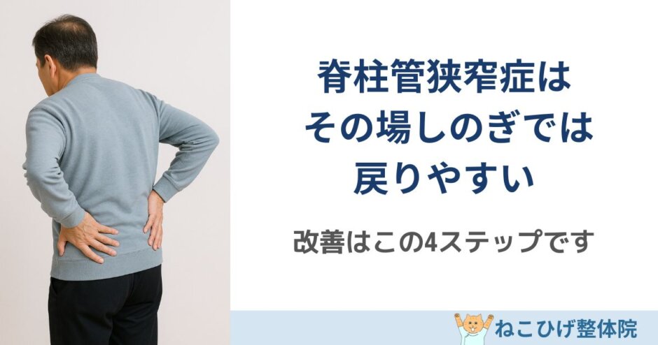 脊柱管狭窄症の改善はこの4ステップ｜島原 整体 ねこひげ整体院