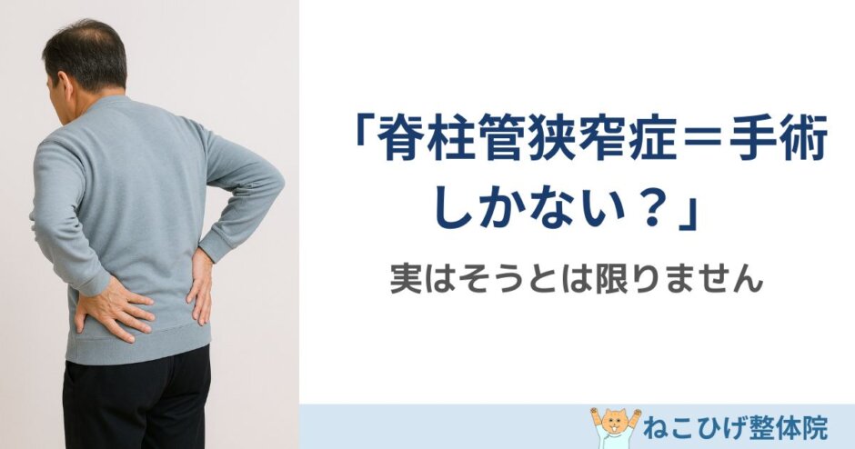 脊柱管狭窄症は手術しかない？原因と改善法を解説｜島原 整体 ねこひげ整体院