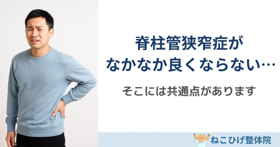 脊柱管狭窄症が改善しない人の共通点とは？｜島原 整体 ねこひげ整体院