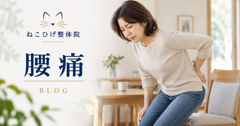 ねこひげ整体院 腰痛ブログ