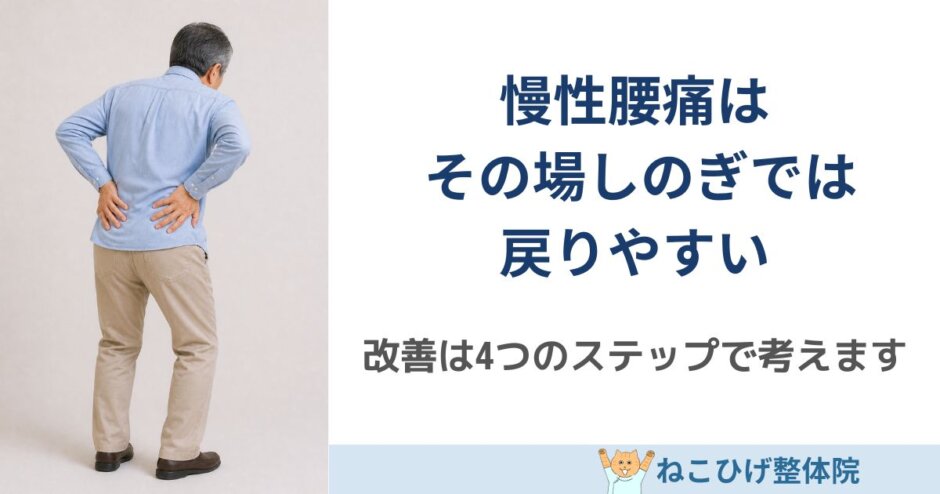 慢性腰痛を改善する4ステップを解説｜島原 整体 ねこひげ整体院