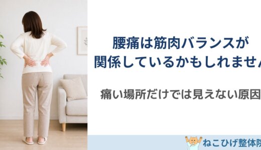 腰痛と筋肉バランスの関係｜痛い場所だけ見ても改善しにくい理由