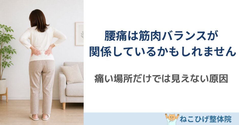 腰痛と筋肉バランスの関係を解説｜島原 整体 ねこひげ整体院