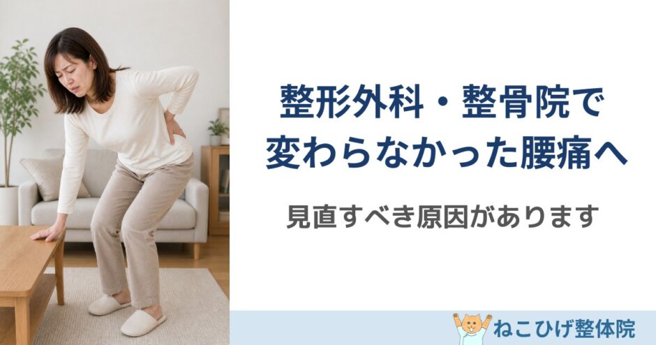 整形外科・整骨院で変わらなかった慢性腰痛の原因を解説｜島原 整体 ねこひげ整体院