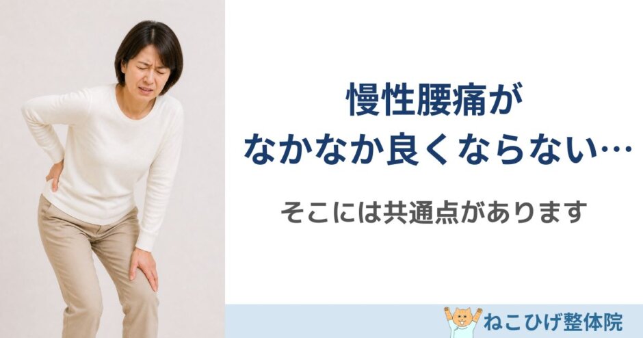 慢性腰痛が改善しない人の共通点を解説｜島原 整体 ねこひげ整体院