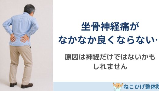 坐骨神経痛がなかなか改善しない理由｜お尻から足の痛み・しびれが続く本当の原因とは？