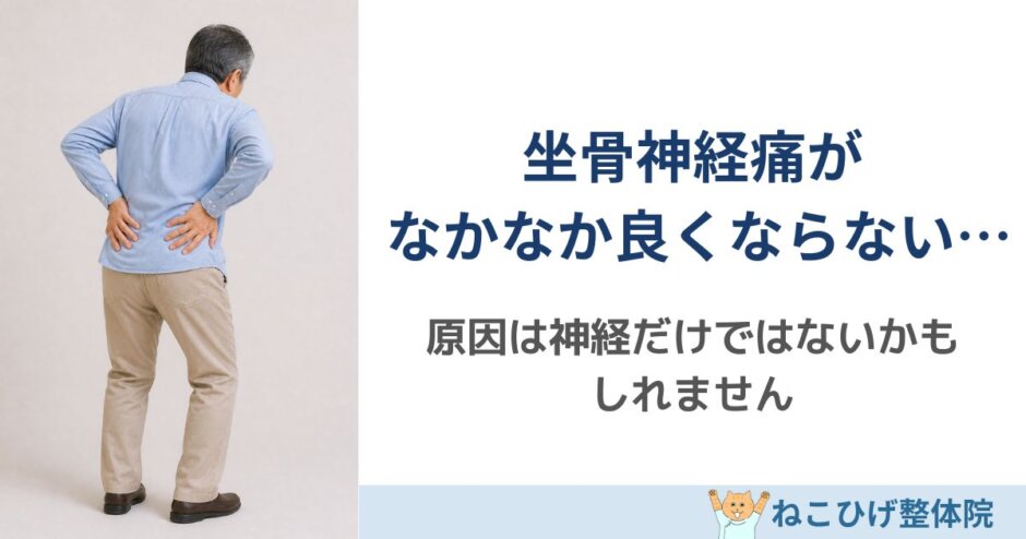 坐骨神経痛がなかなか改善しない理由を解説｜島原 整体 ねこひげ整体院