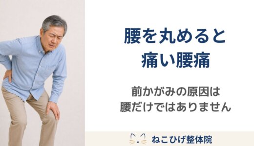 腰を丸めると痛い人に多い原因｜前かがみや靴下を履く動作で腰がつらい方へ