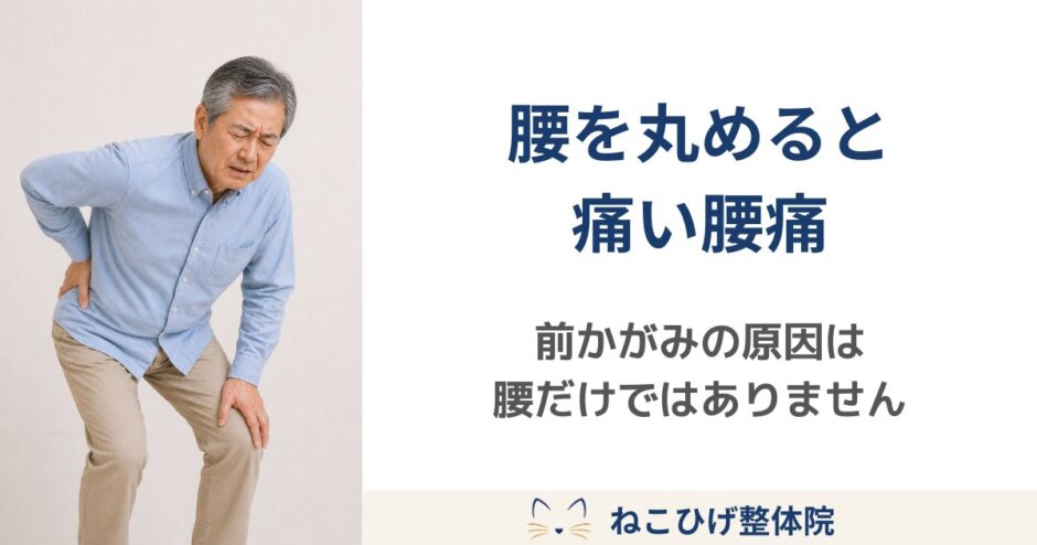 前かがみになると腰が痛くなり、腰に手を当てる中年男性のイメージ画像。