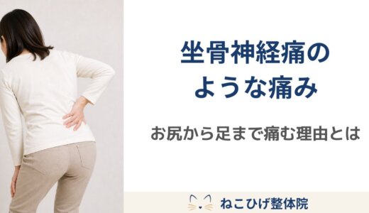 坐骨神経痛でお尻から足まで痛む理由｜腰だけではない筋肉バランスとの関係