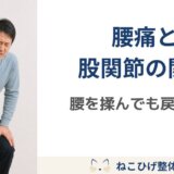 腰痛と股関節の関係｜腰を揉んでも戻る人が見直したいポイント