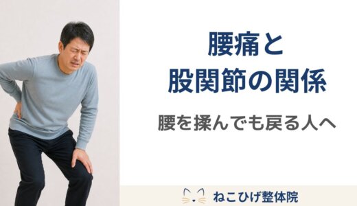 腰痛と股関節の関係｜腰を揉んでも戻る人が見直したいポイント