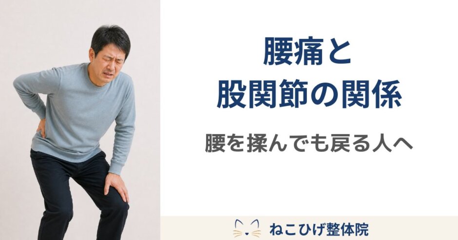 腰痛と股関節の関係を説明するために、股関節まわりを意識しながら前かがみの動作を確認する中年男性のイメージ画像。