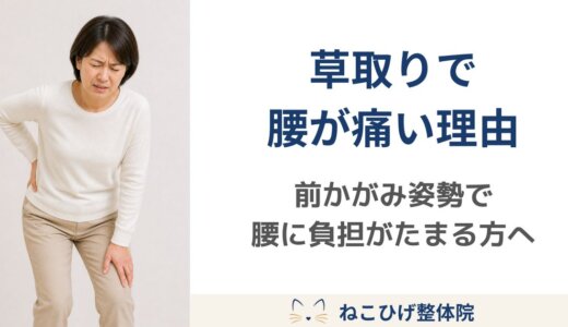 夏の草取りで腰が痛くなる理由｜前かがみ姿勢で腰に負担がたまる方へ