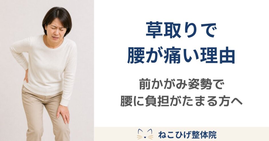 夏の草取りで前かがみ姿勢が続き、腰に手を当ててつらそうにしている中高年女性のイメージ画像。