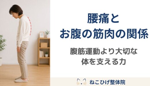 腰痛とお腹の筋肉の関係｜腹筋運動より大切な体を支える力
