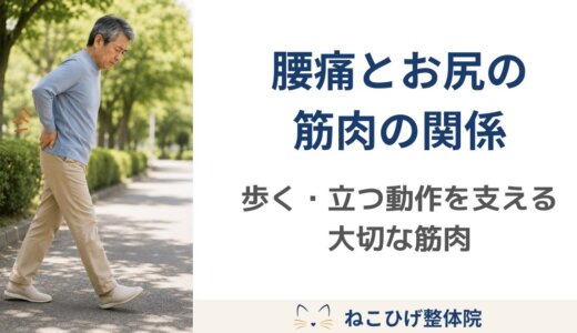 腰痛とお尻の筋肉の関係｜歩く・立つ・起き上がる動作を支える大切な筋肉